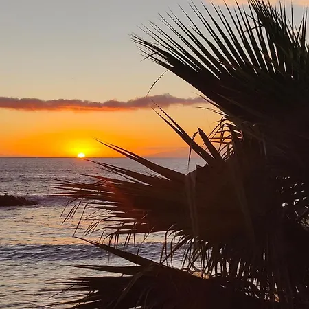 Apartman Laura F363 *